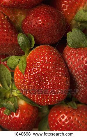 Strawberries View Large Photo Image Stock Photo - Strawberries. Fotosearch