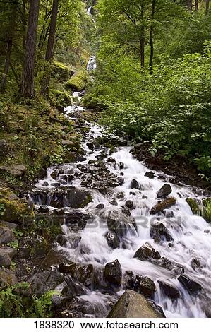 Stock Image - Stream from Wahkeena Falls, Columbia River Gorge, Oregon, USA . Fotosearch