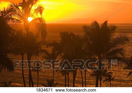 Stock Image - Sunset, Wailea, Maui, Hawaii, USA . Fotosearch