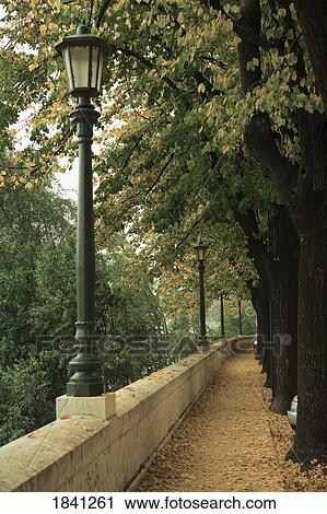 Stock Image - Tree lined path. Fotosearch