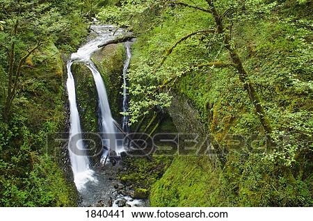 Stock Image - Triple Falls, Columbia River Gorge, Oregon, USA . Fotosearch