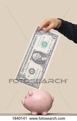 Trying to fit dollar bill in piggy bank View Large Photo Image Stock Image - Trying to fit dollar bill in piggy bank. Fotosearch
