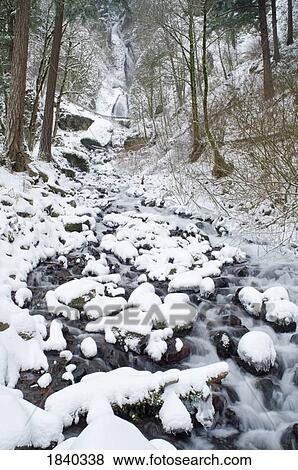 Waukeena Falls in winter, Columbia River Gorge, Oregon, USA View Large Photo Image Stock Photo - Waukeena Falls in winter, Columbia River Gorge, Oregon, USA . Fotosearch