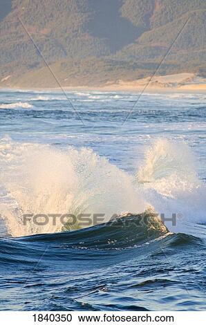 Stock Image - Waves at Cape Kiwanda, Pacific City, Oregon, USA. Fotosearch