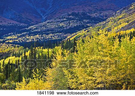 Stock Photo - Yukon Territories, Canada. Fotosearch