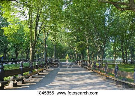 A path in Central Park, New York city, New York, United States of America View Large Photo Image Stock Photography - A path in Central Park, New York city, New York, United States of America. Fotosearch