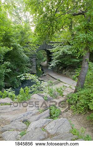 A path leading to Glen Span arch in Central Park, New York city, New York, United States of America View Large Photo Image Stock Photograph - A path leading to Glen Span arch in Central Park, New York city, New York, United States of America. Fotosearch