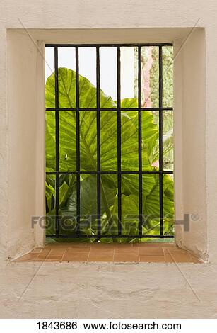 Alcázar of Seville, Seville Province, Spain; Huge green leaf seen through barred window View Large Photo Image Stock Photograph - Alcázar of Seville, Seville Province, Spain; Huge green leaf seen through barred window. Fotosearch