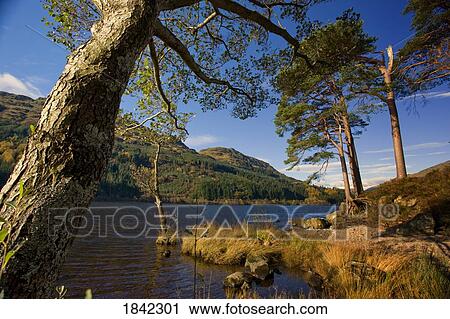 Argyll and Bute, Scotland View Large Photo Image Stock Image - Argyll and Bute, Scotland. Fotosearch