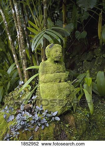 Bali, Indonesia; Moss-covered stones View Large Photo Image Stock Image - Bali, Indonesia; Moss-covered stones. Fotosearch