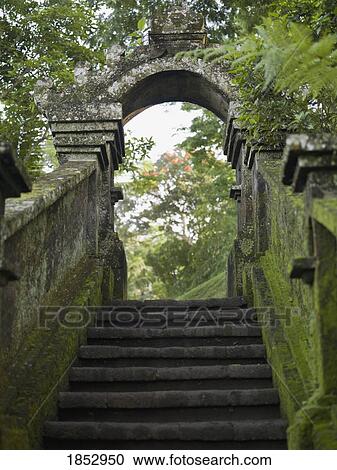 Stock Image - Bali, Indonesia; Moss-lined outdoor stairs on hiking trail. Fotosearch