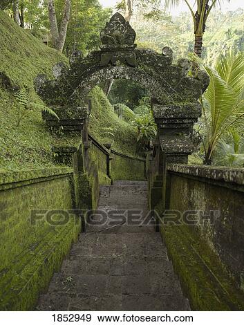 Stock Photo - Bali, Indonesia; Moss-lined outdoor stairs on hiking trail. Fotosearch