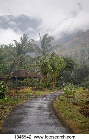 Bali, Indonesia; Rural road View Large Photo Image Stock Image - Bali, Indonesia; Rural road. Fotosearch