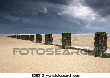 Stock Image - Beach, East Riding of Yorkshire, England. Fotosearch