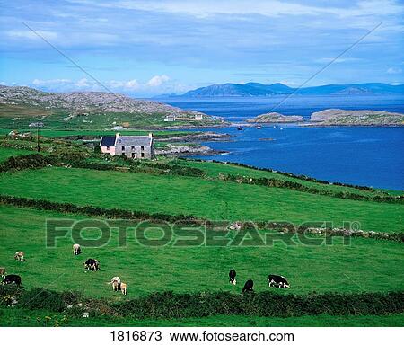 Stock Image - Beara Peninsula, County Cork, Ireland. Fotosearch