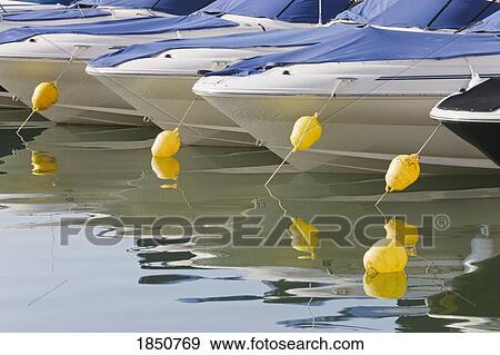 Boats moored; Row of speed boats View Large Photo Image Stock Photo - Boats moored; Row of speed boats. Fotosearch