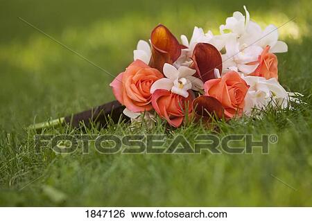 Bouquet of flowers View Large Photo Image Stock Photograph - Bouquet of flowers. Fotosearch
