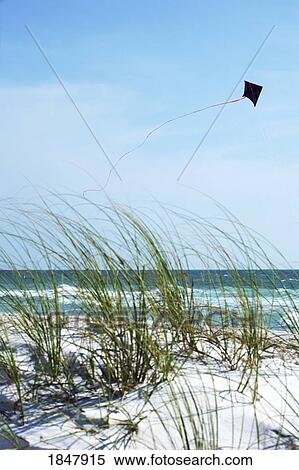 Stock Photography - Bradenton Beach, Florida, USA; kite flying on the beach. Fotosearch