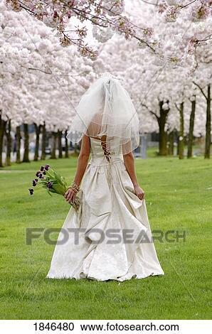 Stock Image - Bride among flowering trees. Fotosearch