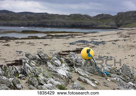 Buoy on the shore View Large Photo Image Stock Photo - Buoy on the shore. Fotosearch