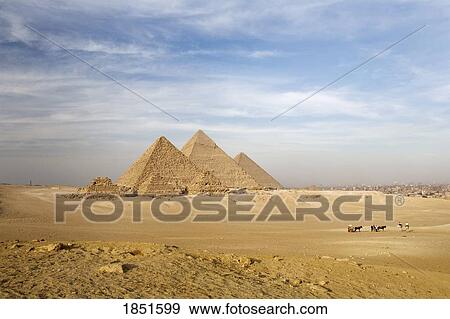 Cairo, Egypt; The pyramids at Giza View Large Photo Image Stock Photo - Cairo, Egypt; The pyramids at Giza. Fotosearch