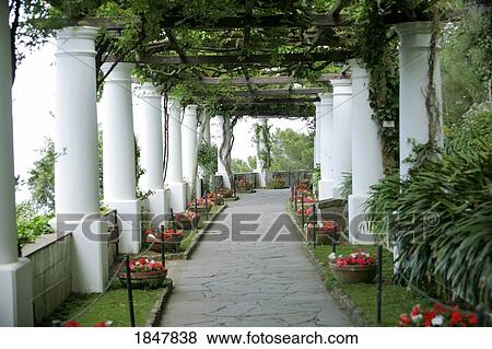 Capri, Italy; White, ivy-lined pillars View Large Photo Image Stock Photo - Capri, Italy; White, ivy-lined pillars. Fotosearch