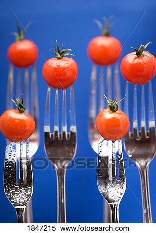 Cherry tomatoes on forks View Large Photo Image Stock Photography - Cherry tomatoes on forks. Fotosearch