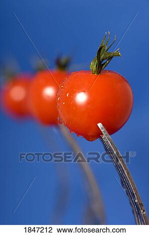 Stock Image - Cherry tomatoes. Fotosearch