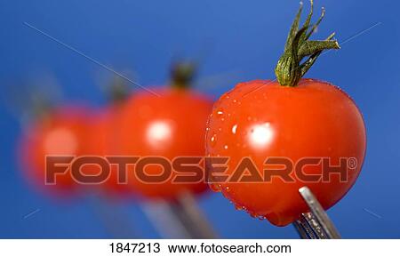 Cherry tomatoes View Large Photo Image Stock Image - Cherry tomatoes. Fotosearch