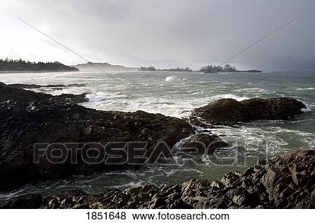 Stock Photo - Chesterman's Beach, Tofino, Vancouver Island, British Columbia, Canada; Rocky coastline. Fotosearch