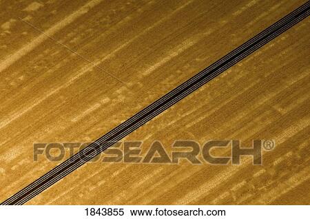 Stock Photography - Close-up of an acoustic guitar. Fotosearch