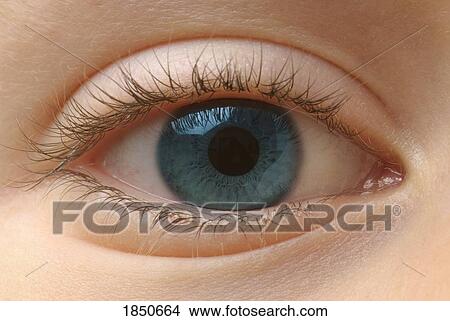 Picture - Closeup of an eye. Fotosearch