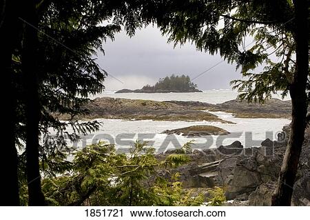 Stock Image - Coastal scene, Tofino, British Columbia, Canada; rocky shoreline framed by trees. Fotosearch