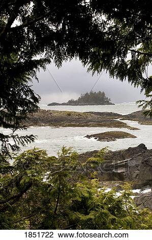 Stock Image - Coastal scenery, Tofino, British Columbia, Canada; rugged coastline framed by trees. Fotosearch