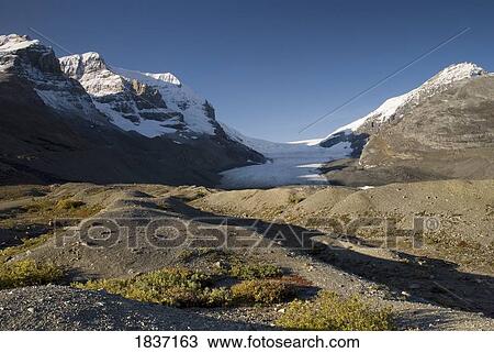 Stock Image - Columbia Icefield, Mount Athabasca, Mount Andromeda, Jasper National Park, Alberta, Canada . Fotosearch