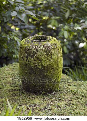 Stock Photo - Como Shambhala Estate, Bali, Indonesia; Moss-covered vase. Fotosearch