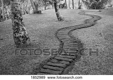 Stock Photo - Como Shambhala Estate, Bali, Indonesia; Hiking Trail. Fotosearch