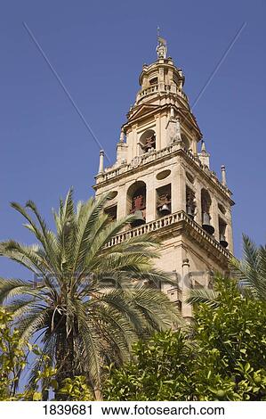 Stock Image - Cordoba, Cordoba Province, Spain; Torre del Alminar of the Great Mosque. Fotosearch