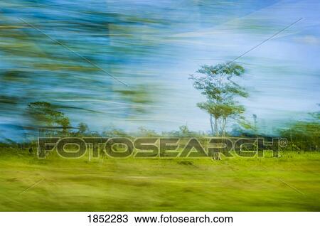 Costa Rica; blurred countryside View Large Photo Image Stock Image - Costa Rica; blurred countryside. Fotosearch