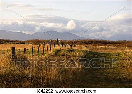 Countryside with mountains in the distance, Argyll and Bute, Scotland View Large Photo Image Stock Image - Countryside with mountains in the distance, Argyll and Bute, Scotland. Fotosearch