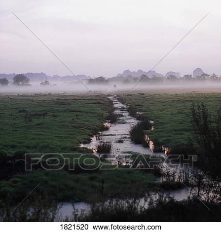 County Armagh, Northern Ireland, Bog and ditch filled with water View Large Photo Image Stock Image - County Armagh, Northern Ireland, Bog and ditch filled with water. Fotosearch