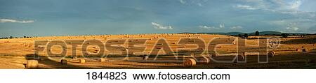 Stock Image - County Cork, Ireland, Hay bales after the harvest Near Mallow. Fotosearch