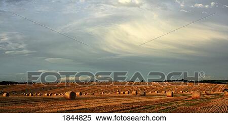 County Cork, Ireland, Hay bales after the harvest Near Mallow View Large Photo Image Stock Photography - County Cork, Ireland, Hay bales after the harvest Near Mallow. Fotosearch