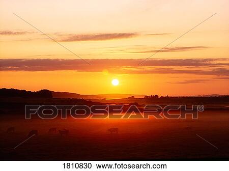 County Cork, Ireland, near Lisheen View Large Photo Image Stock Image - County Cork, Ireland, near Lisheen. Fotosearch