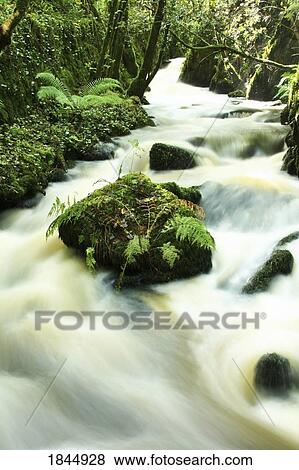 Stock Photo - County Cork, Ireland, River. Fotosearch