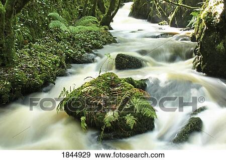 County Cork, Ireland, River View Large Photo Image Stock Photo - County Cork, Ireland, River. Fotosearch