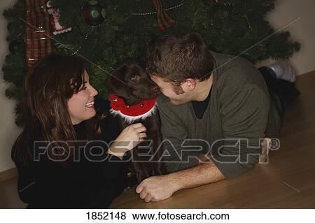 Couple with dog; Couple with dog at Christmas View Large Photo Image Stock Photo - Couple with dog; Couple with dog at Christmas. Fotosearch