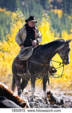 Cowboy on his horse with his dog View Large Photo Image Stock Image - Cowboy on his horse with his dog. Fotosearch
