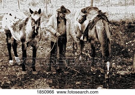 Cowboy watering his horses View Large Photo Image Stock Photograph - Cowboy watering his horses . Fotosearch