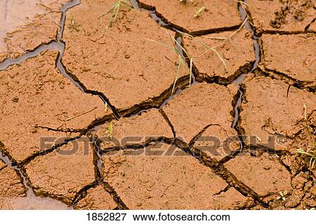Stock Photo - Cracked earth wet with rain . Fotosearch